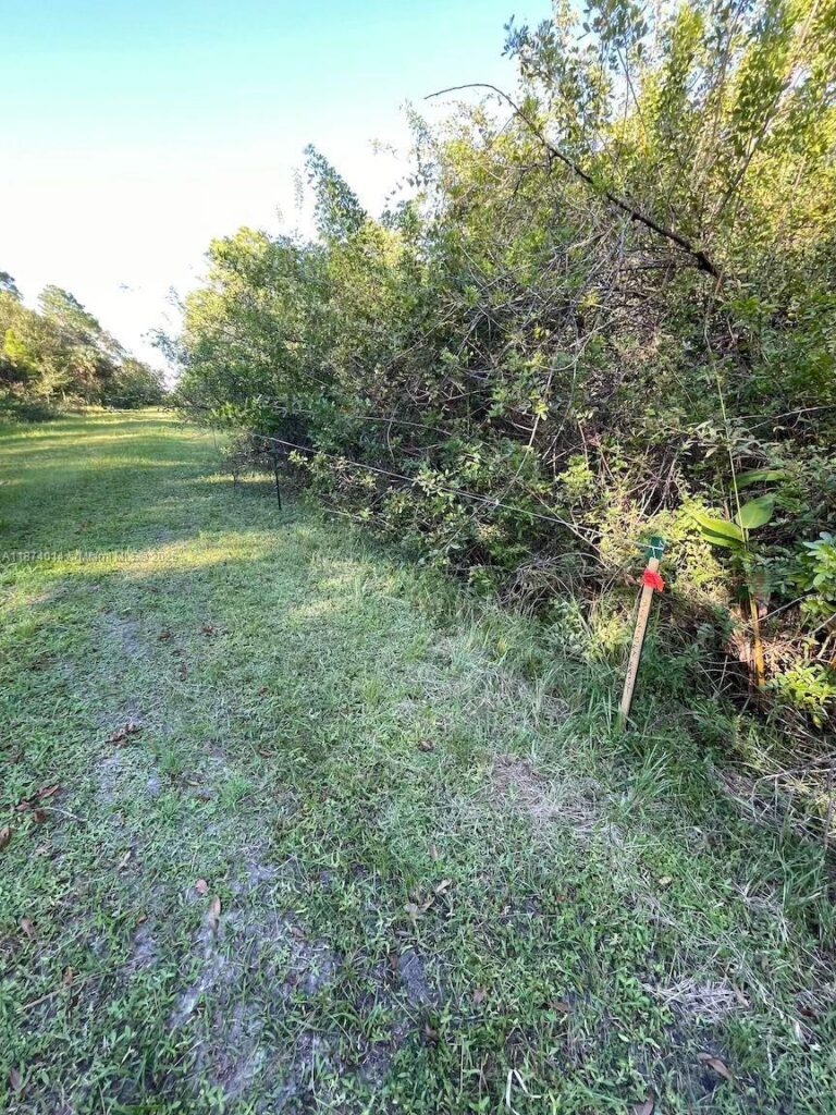 635 S Estribo St, Clewiston FL 33440