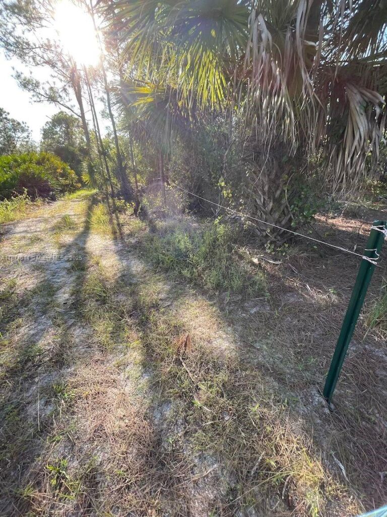 635 S Estribo St, Clewiston FL 33440