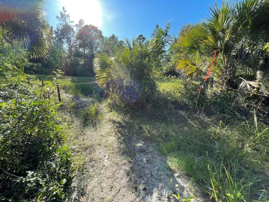 635 S Estribo St, Clewiston FL 33440