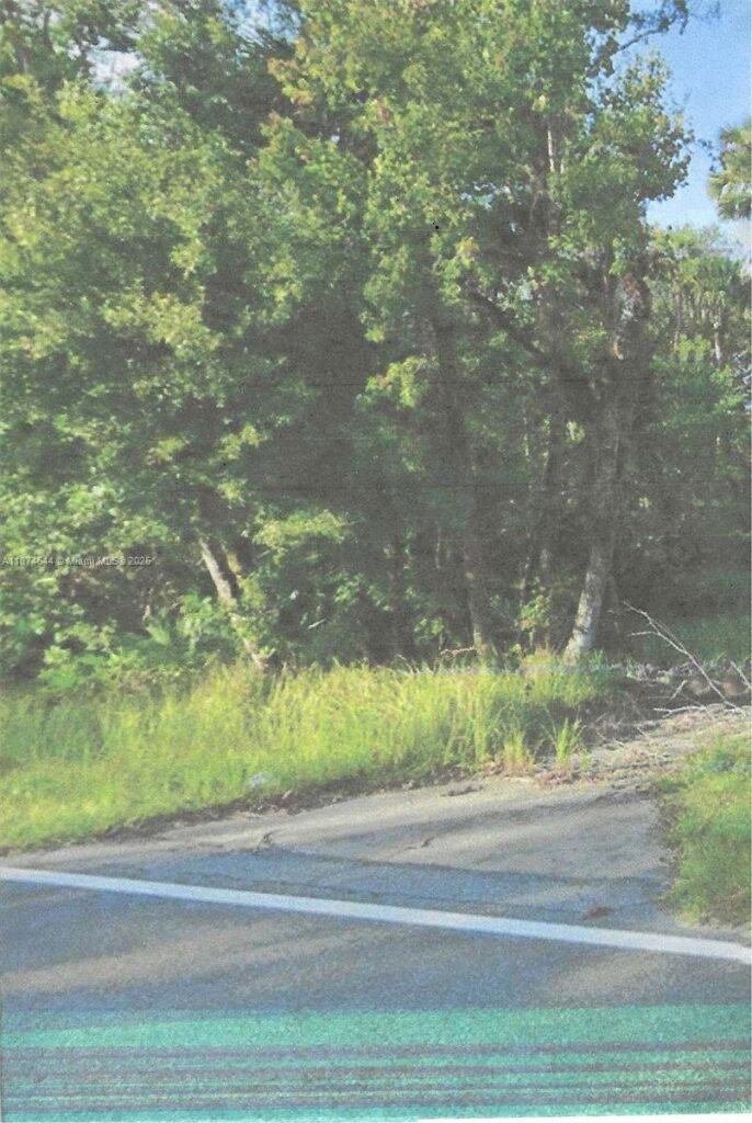 00 Adair Road, Davenport FL 33837