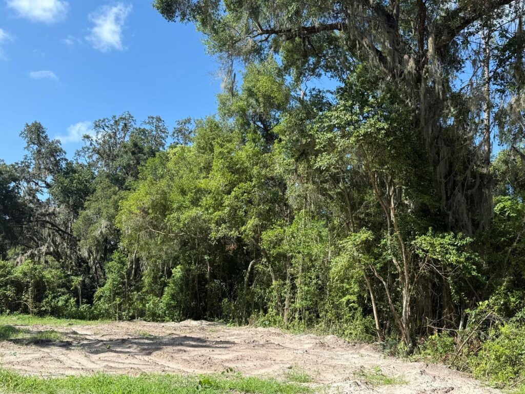115 Roddy Lane, Palatka FL 32177