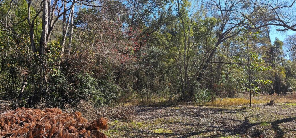 5676 Soutel Drive, Jacksonville FL 32219