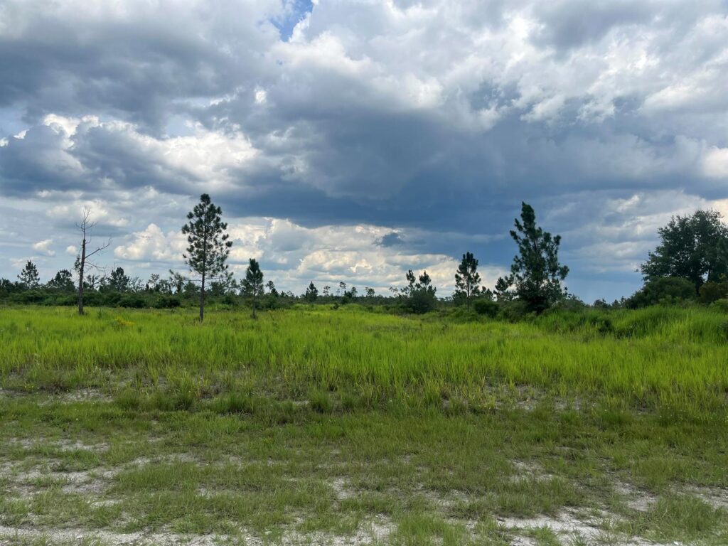 0 Pinnata Drive, Lake Wales FL 33898