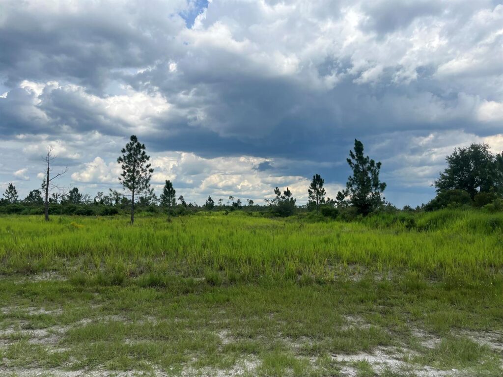 0 Pinnata Drive, Lake Wales FL 33898