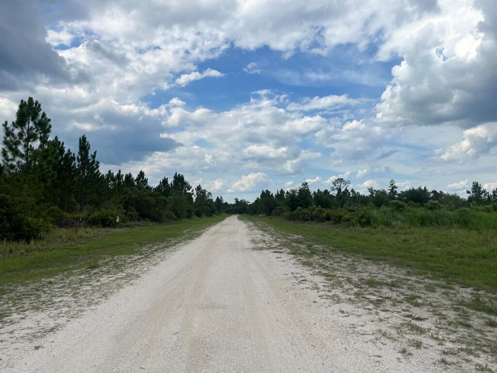 0 Pinnata Drive, Lake Wales FL 33898