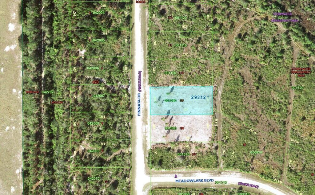 0 Pinnata Drive, Lake Wales FL 33898