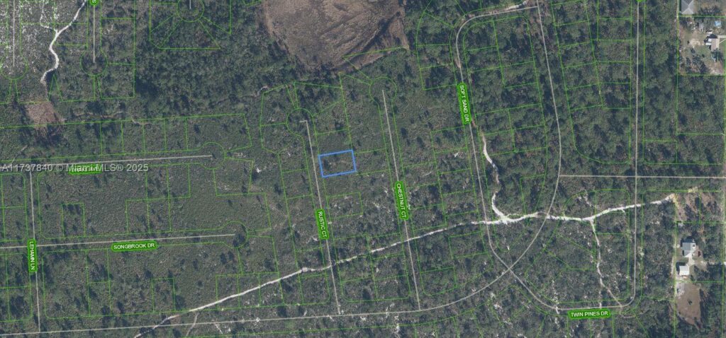 1136 Rustic Court, Sebring FL 33852