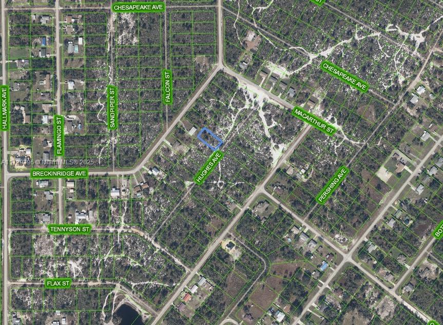 1066 Hughes Avenue, Lake Placid FL 33852