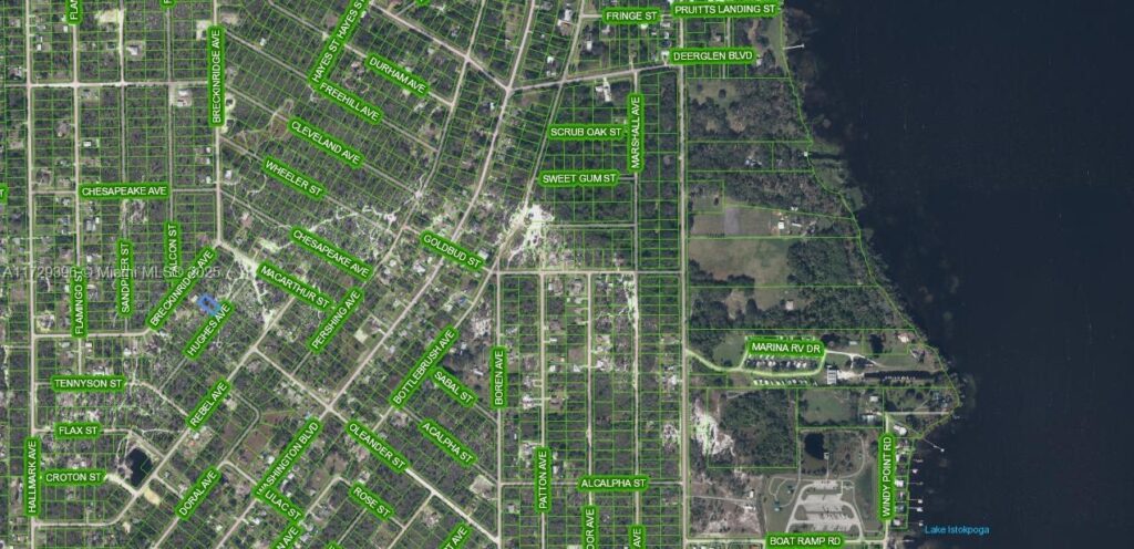 1066 Hughes Avenue, Lake Placid FL 33852
