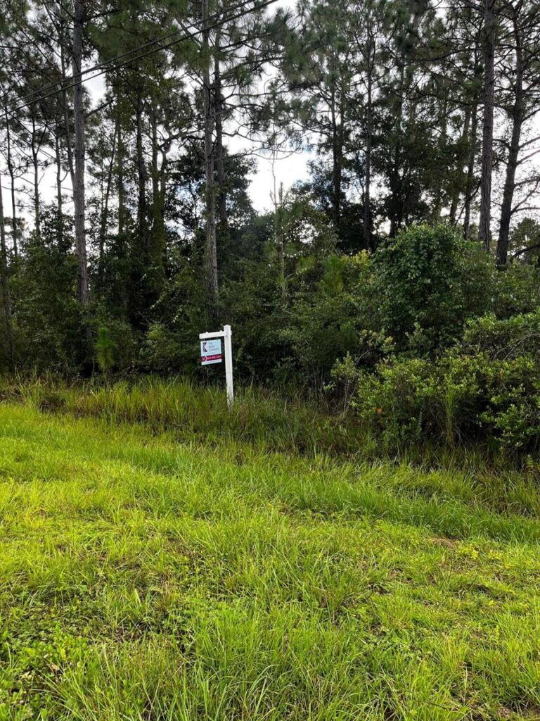 0 Sabal Street, Orlando FL 32833