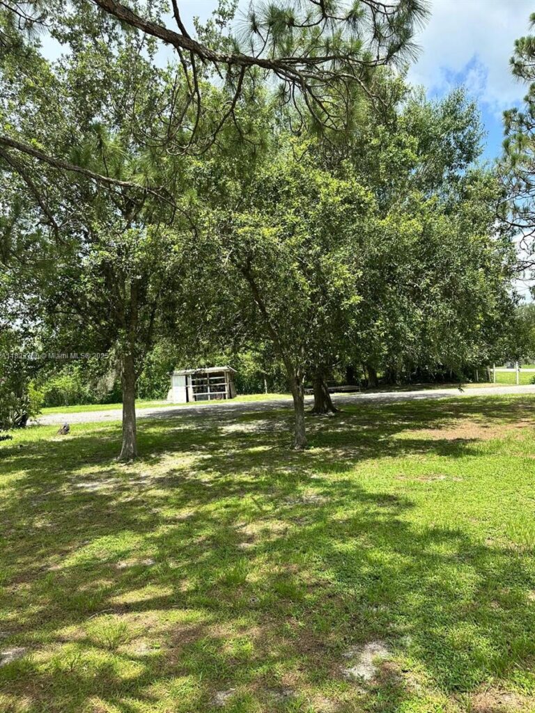 451 Bald Cypress, Clewiston FL 33440