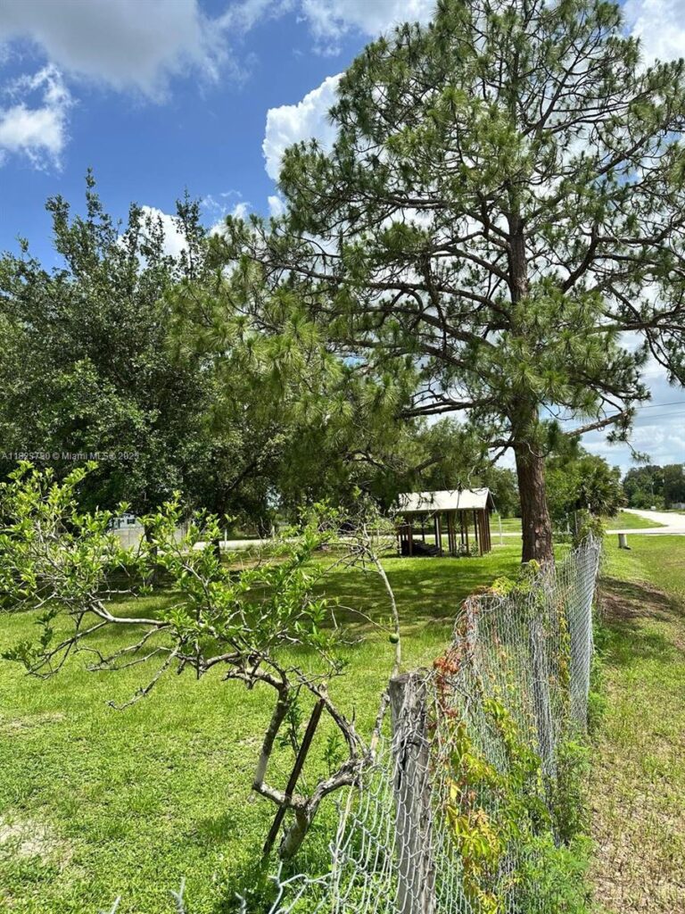 451 Bald Cypress, Clewiston FL 33440