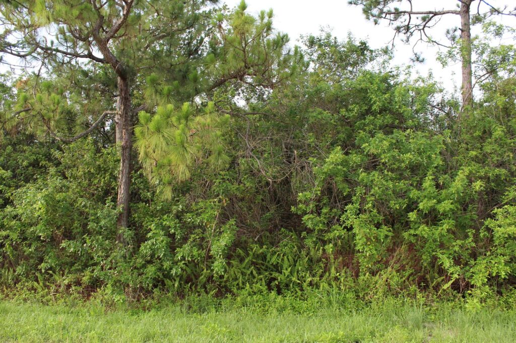 ”17992” 94th Street N, Loxahatchee FL 33470