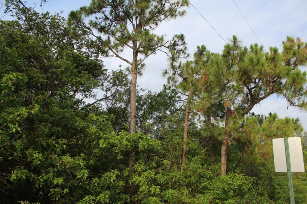 ”17992” 94th Street N, Loxahatchee FL 33470