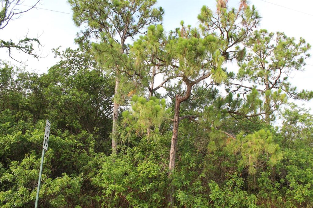 ”17992” 94th Street N, Loxahatchee FL 33470
