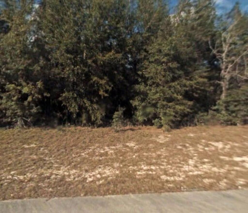 Lot 5 138 Lane, Ocala FL 34473