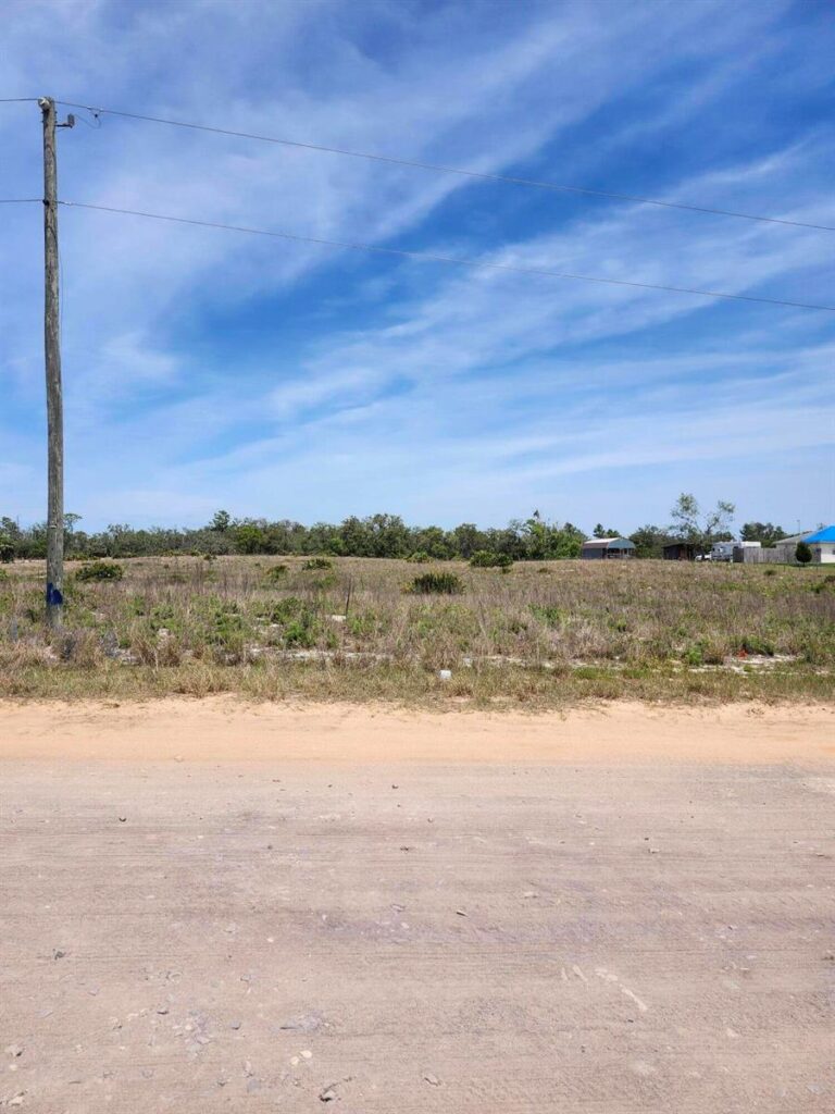 Lot 30 Fazzini Road, Lake Wales FL 33898