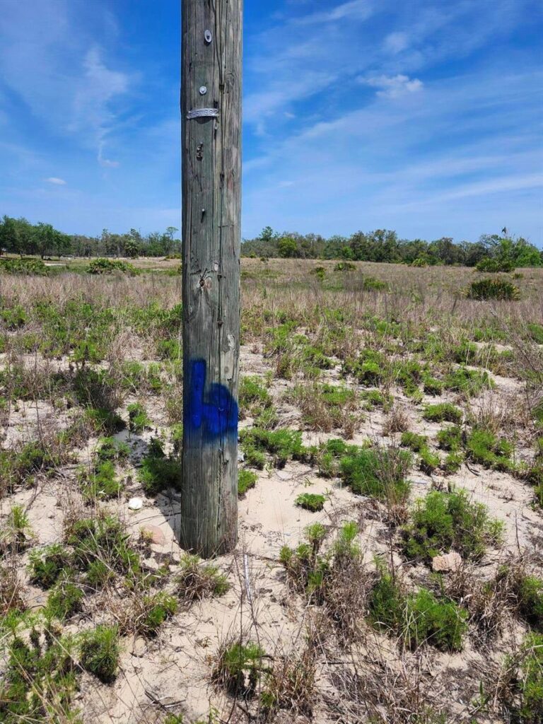 Lot 30 Fazzini Road, Lake Wales FL 33898