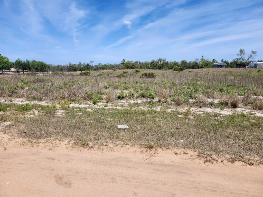 Lot 30 Fazzini Road, Lake Wales FL 33898