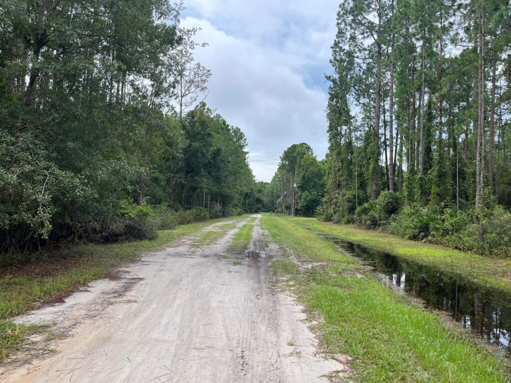 117 Mosswood Street, FL 32139