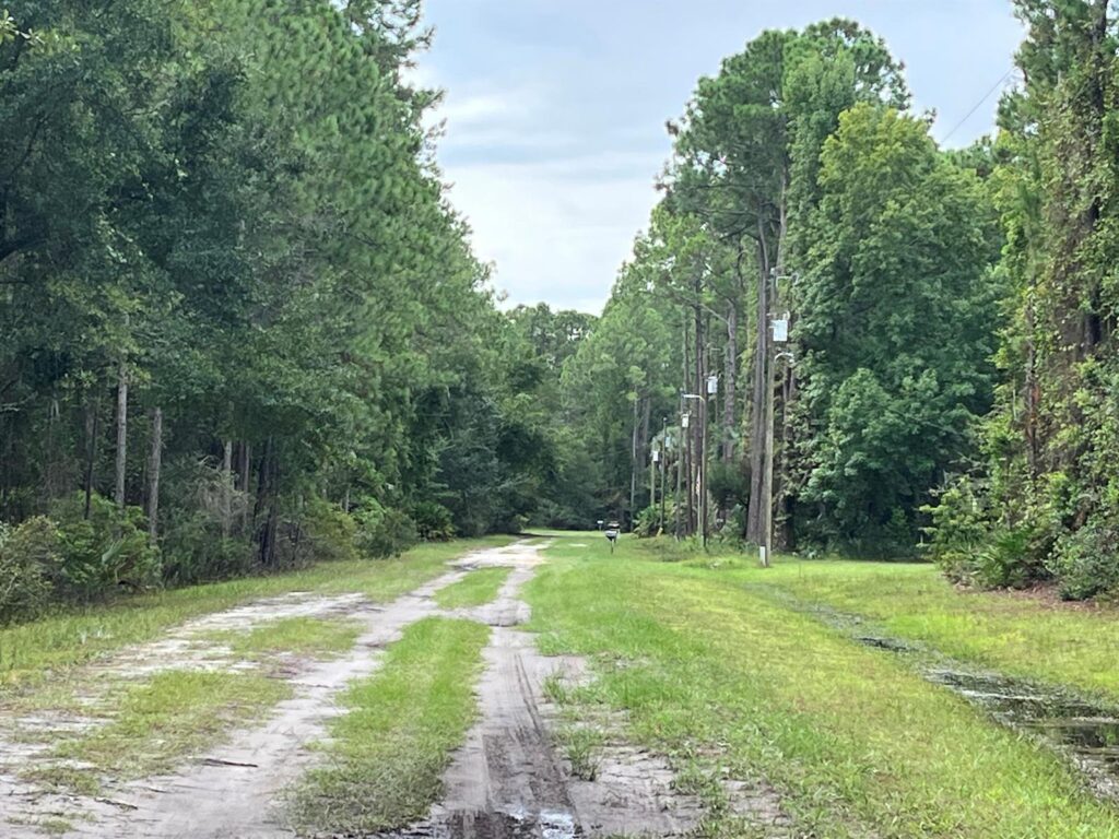 117 Mosswood Street, FL 32139