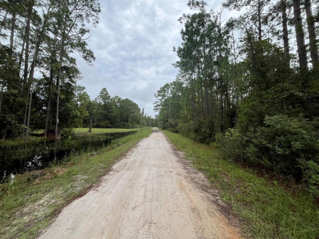 117 Mosswood Street, FL 32139