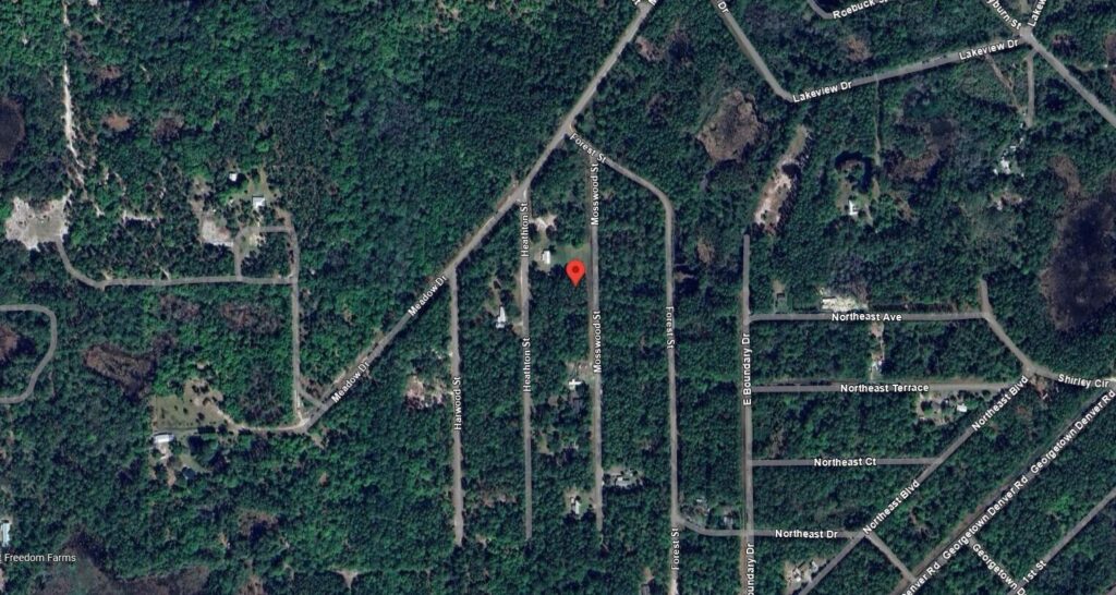 117 Mosswood Street, FL 32139