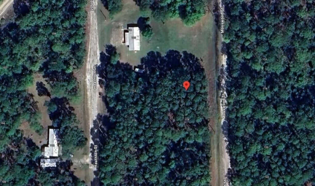 117 Mosswood Street, FL 32139