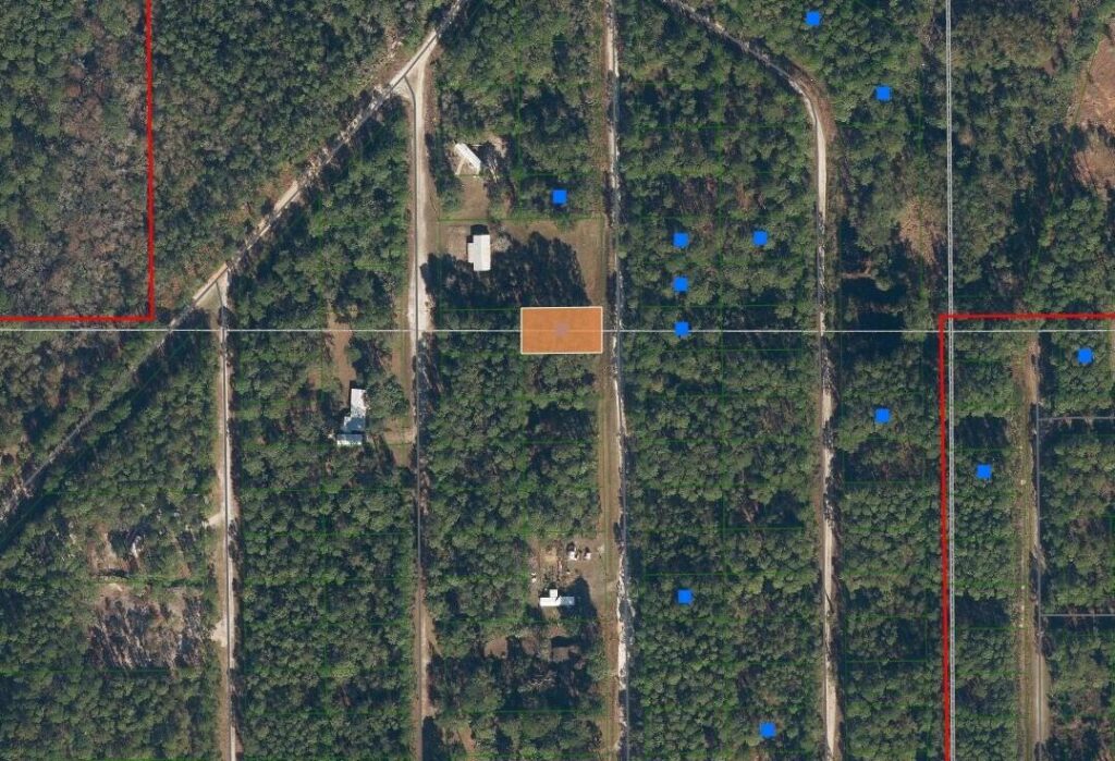 117 Mosswood Street, FL 32139