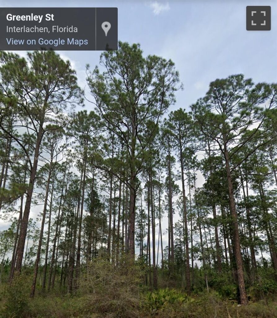 00 Greenley ST, Palatka FL 32148