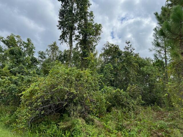 1123 Greenfield Street, Lake Placid FL 33852