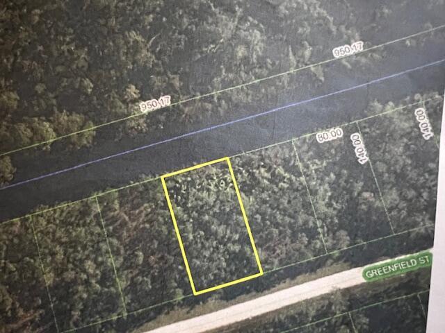 1123 Greenfield Street, Lake Placid FL 33852