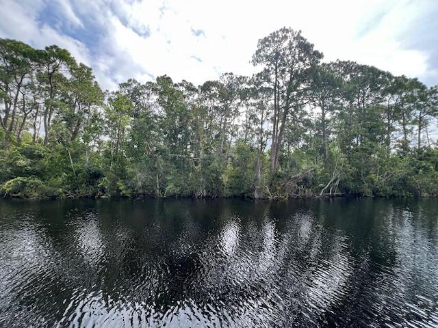 1123 Greenfield Street, Lake Placid FL 33852