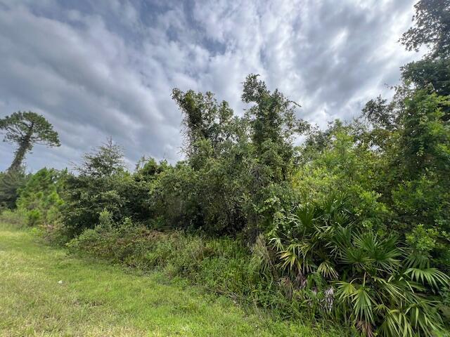 1123 Greenfield Street, Lake Placid FL 33852
