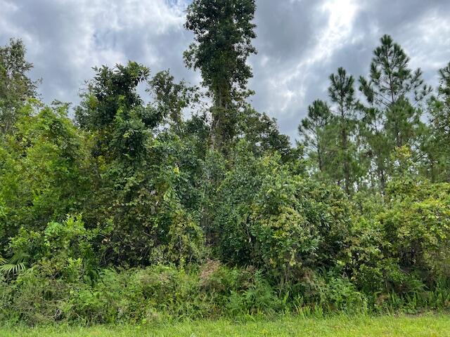 1123 Greenfield Street, Lake Placid FL 33852