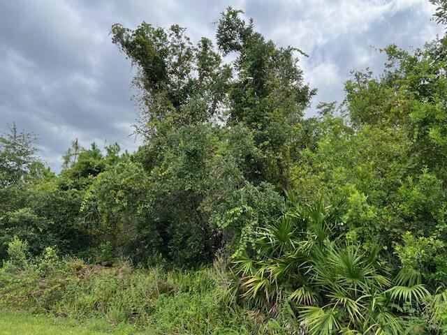 1123 Greenfield Street, Lake Placid FL 33852