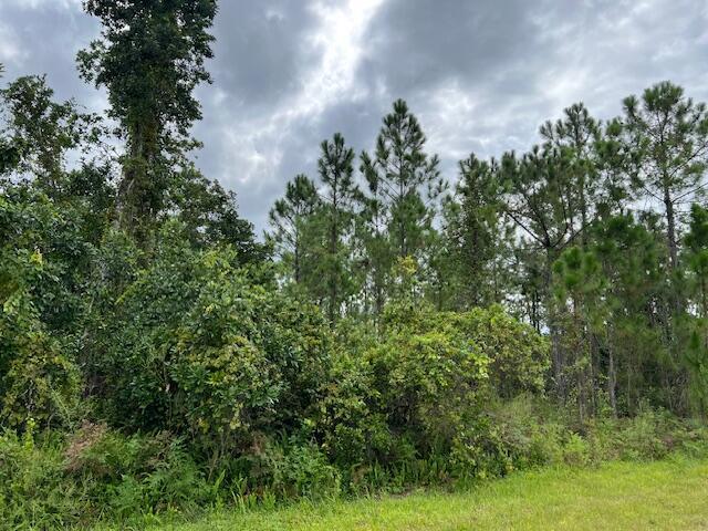 1123 Greenfield Street, Lake Placid FL 33852