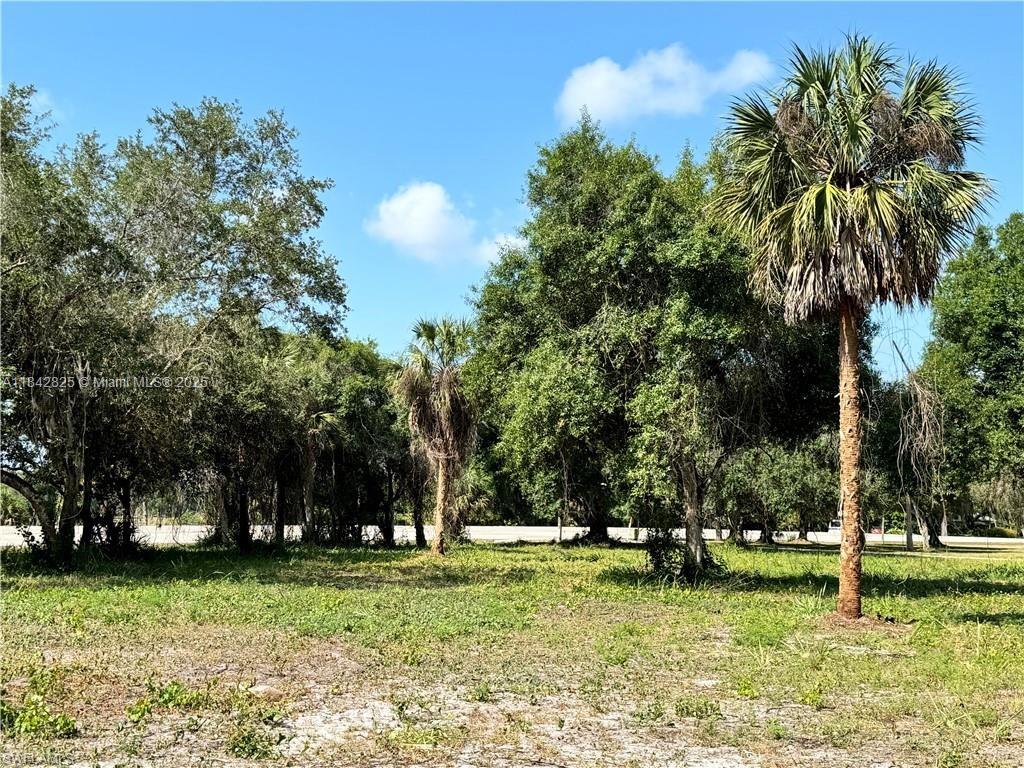 0 Magnolia Ave, La Belle FL 33935
