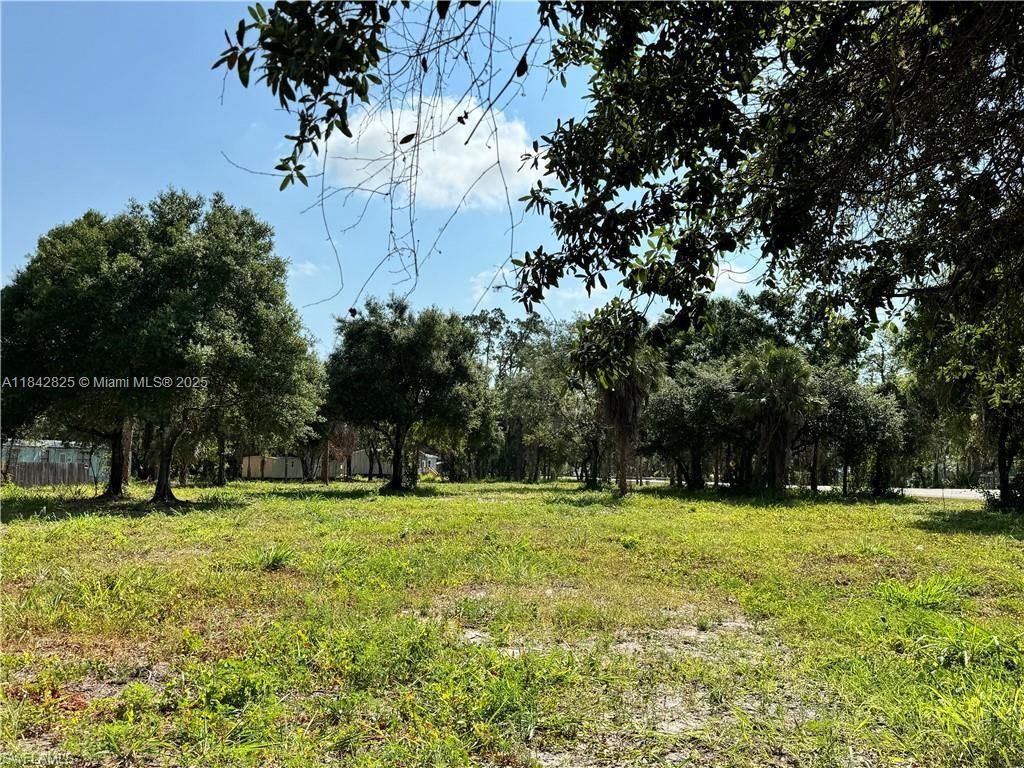 0 Magnolia Ave, La Belle FL 33935