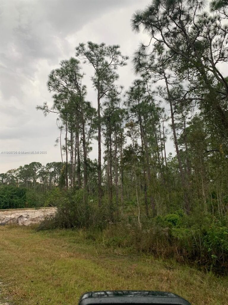 28338 Calais Ave, Punta Gorda FL 33955