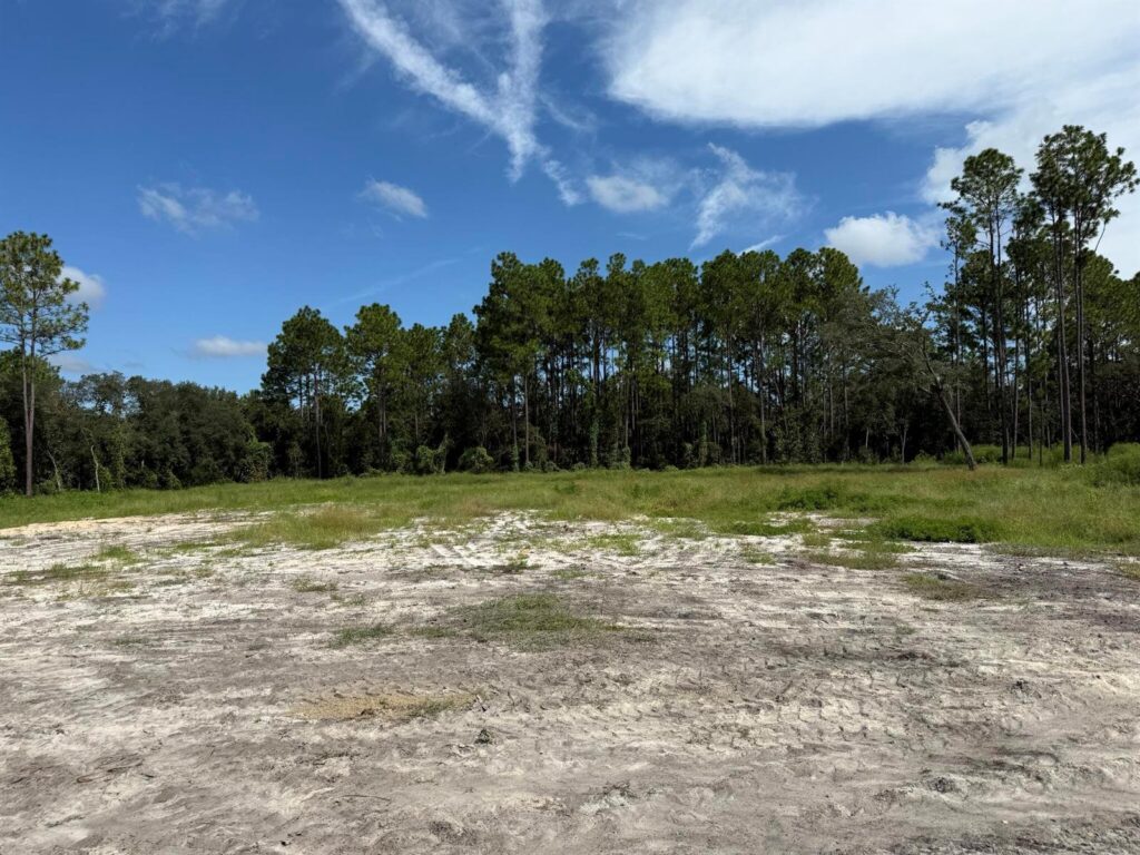 Tbd SW 146th Lane Road, FL 34432