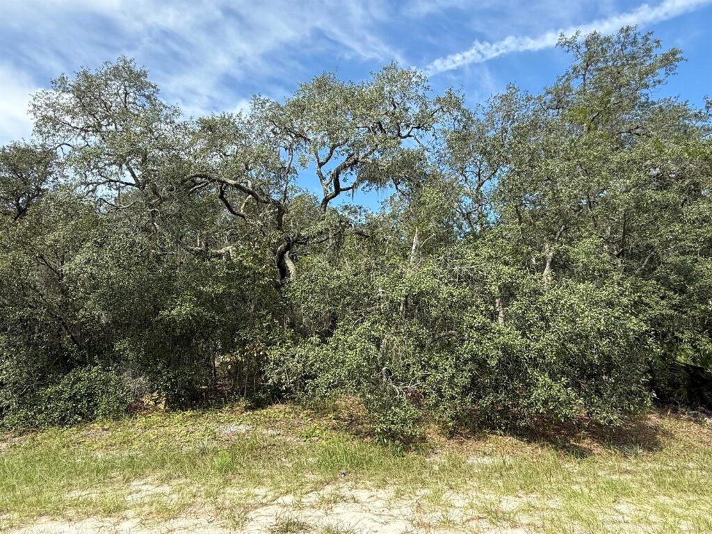 Tbd SW 146th Lane Road, FL 34432