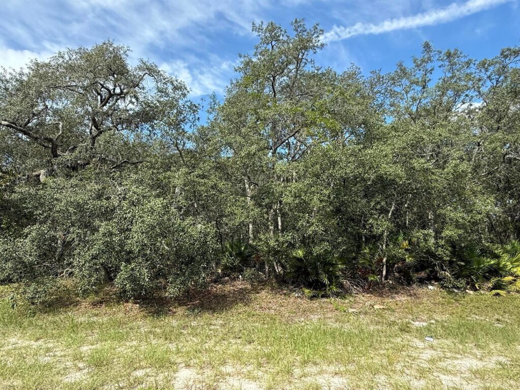 Tbd SW 146th Lane Road, FL 34432