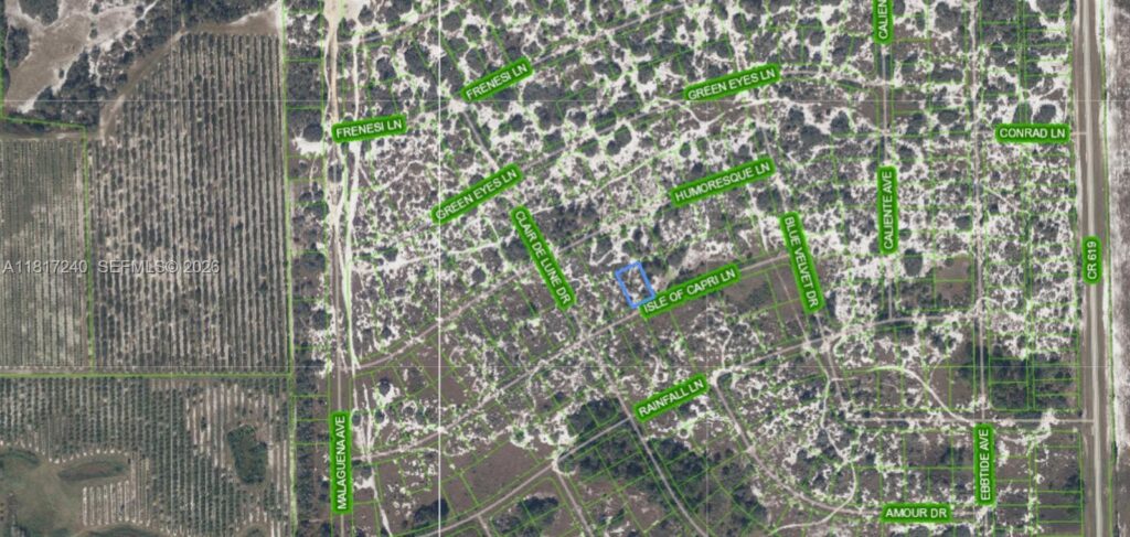 462 Isle of Capri Ln, Lake Placid FL 33852