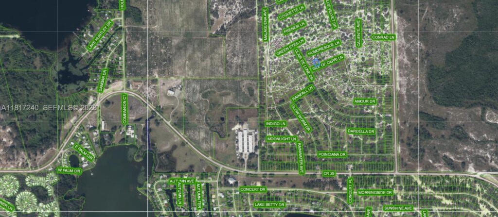 462 Isle of Capri Ln, Lake Placid FL 33852