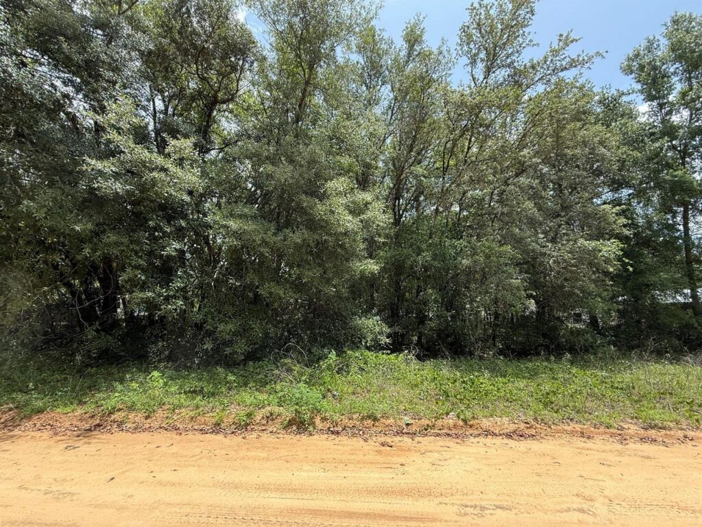 604 Kitty Avenue, FL 32148