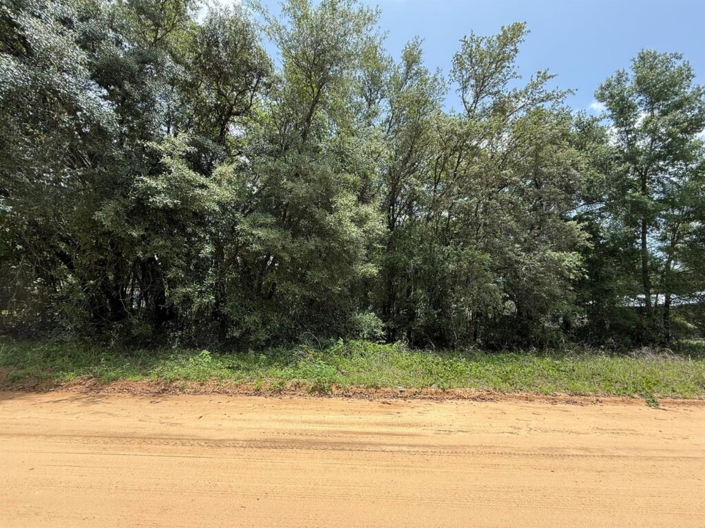604 Kitty Avenue, FL 32148
