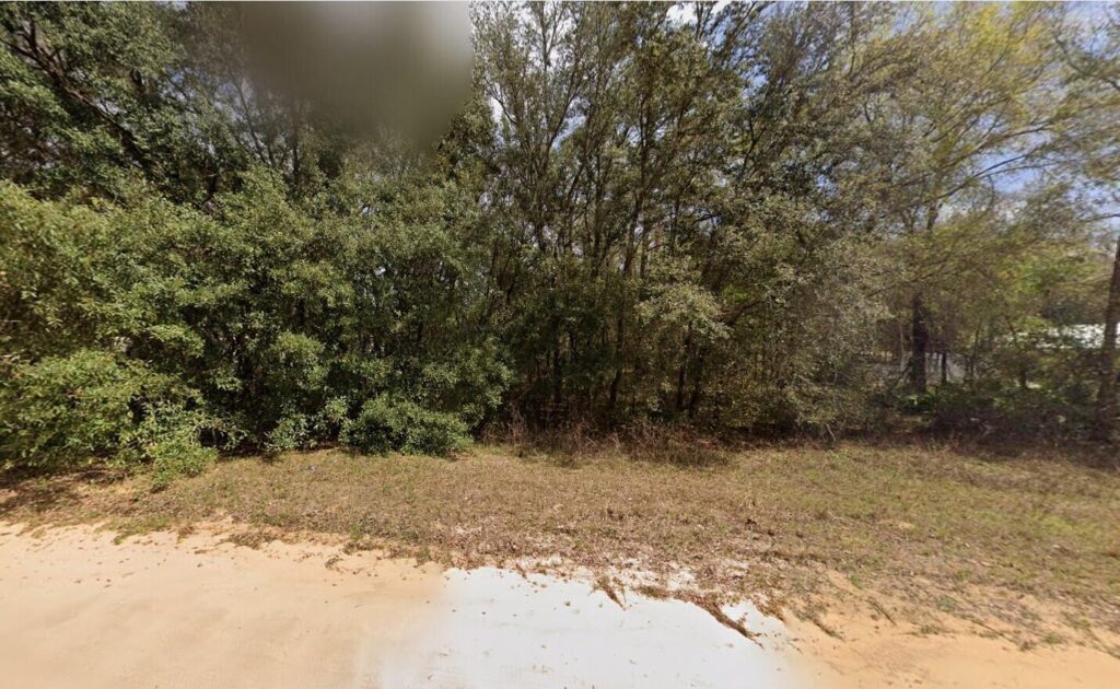 604 Kitty Avenue, FL 32148