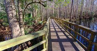 328 Hossler Avenue, Lake Placid FL 33852