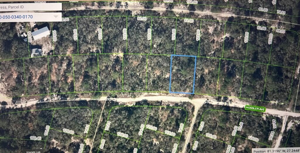 328 Hossler Avenue, Lake Placid FL 33852